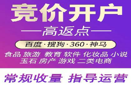 百度竞价账户管理攻略：实战案例与技巧分享
